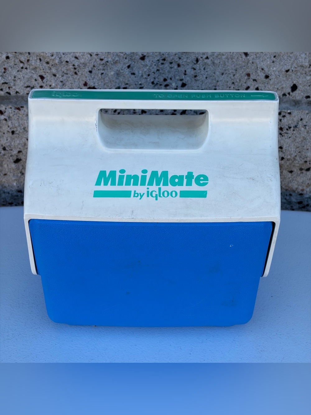 Vintage 1990s Igloo Mini Mate Cooler Lunch Box Blue/White